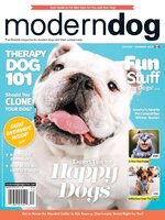 Modern Dog